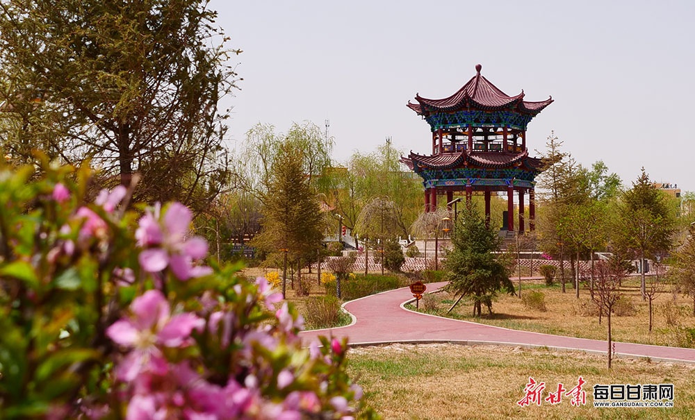 山丹南湖公园的湖光与花色