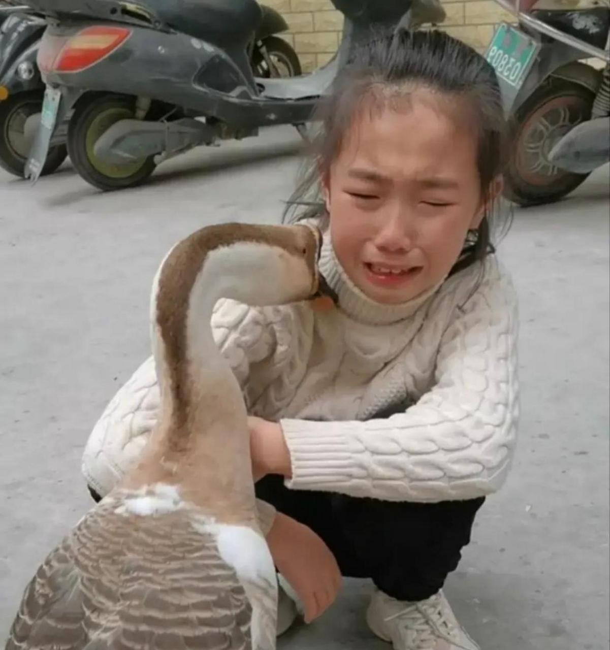 过年杀了一个女孩图片图片