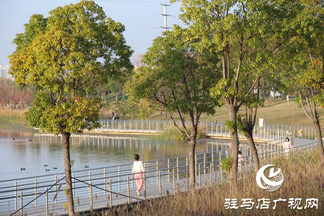 駐馬店市人民公園:初冬美景惹人陶醉