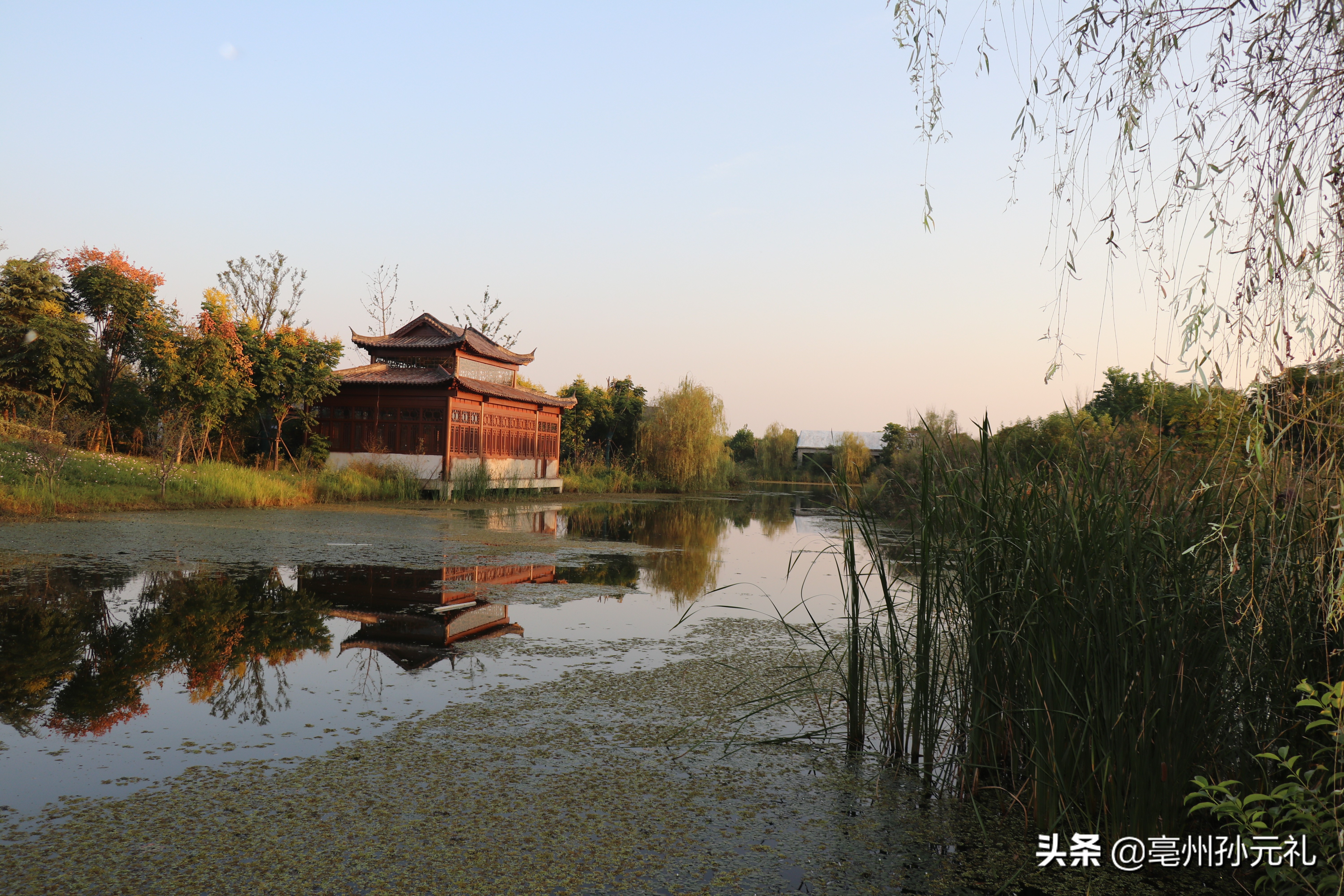 利辛西淝河湿地公园图片