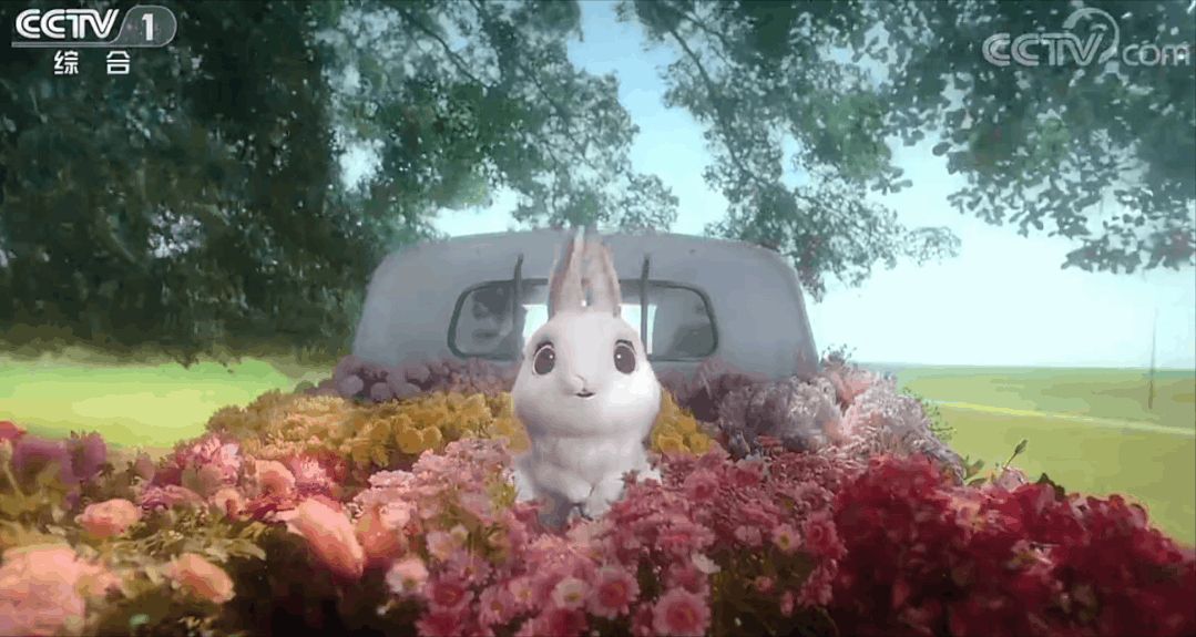 ���괺����ЩӲ�˿Ƽ������޵�������