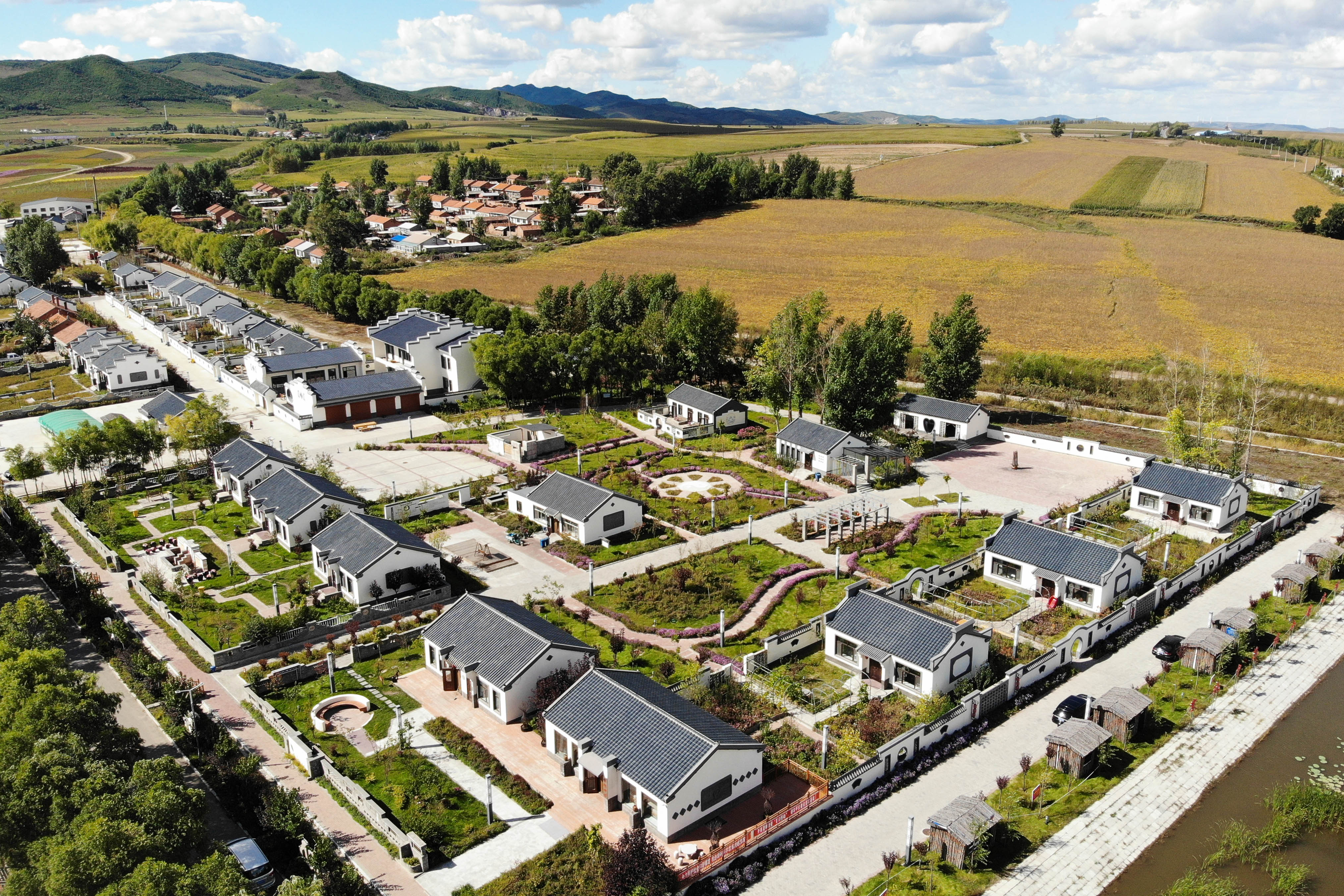 新华全媒 |黑龙江勃利:寒地中草药产业助力乡村振兴