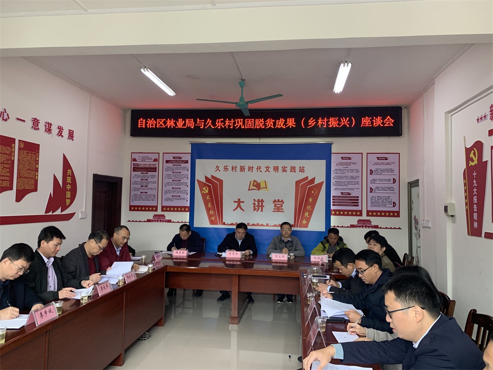 李贵玉到环江县久乐村调研指导乡村振兴工作