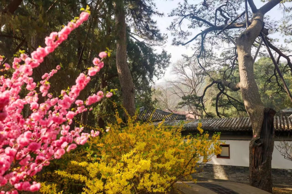 香山公园海淀区黑山扈北口19号适合休闲娱乐的朋友们走走逛逛道路更为