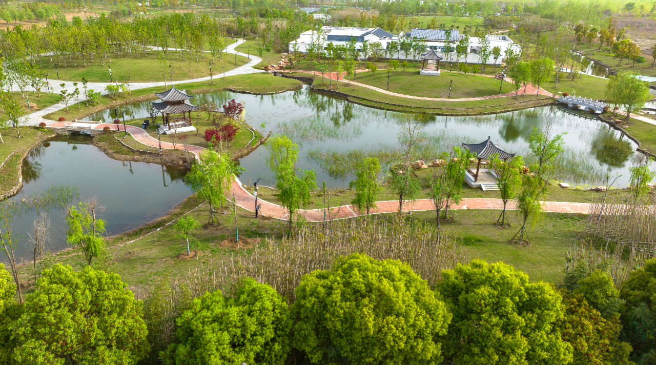 襄阳鱼梁洲湿地公园图片
