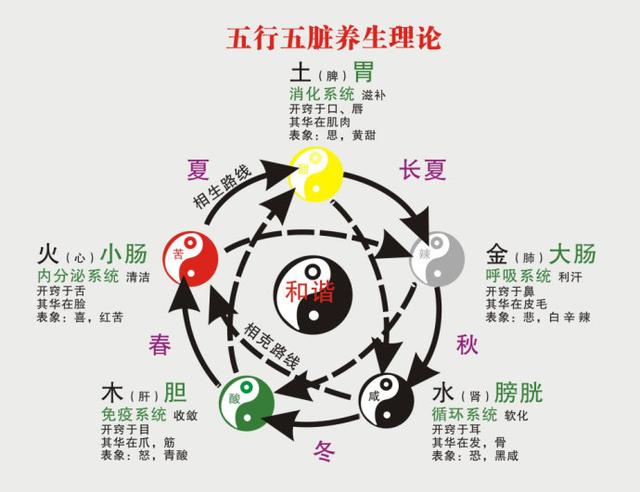 五行与五脏究竟有什么关系?看这文章就知道了