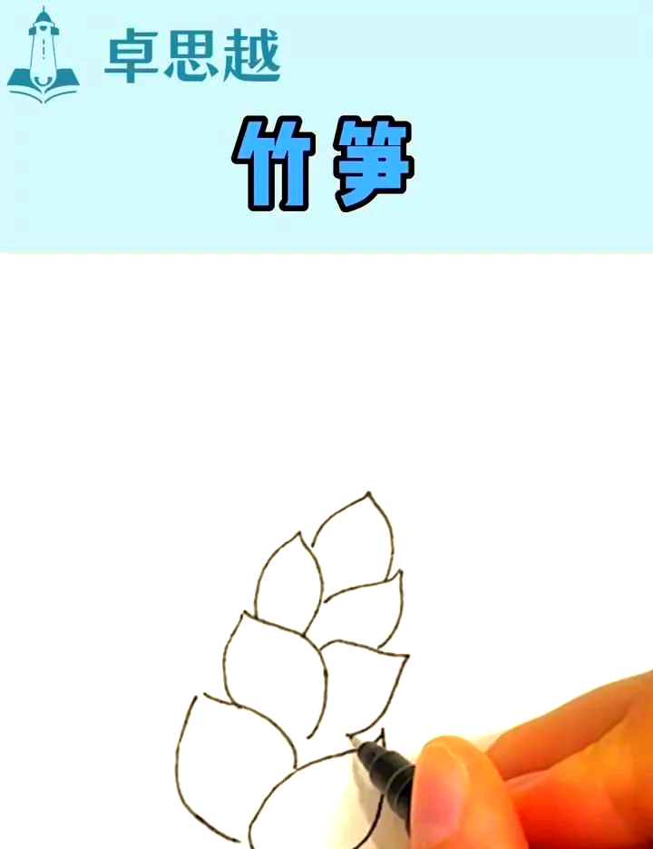 简笔画课堂:竹与笋的绘画之旅