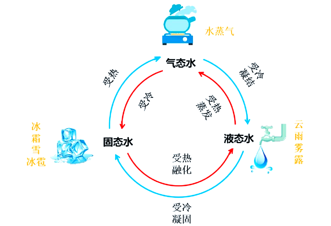 水的三态变化与溶解现象全解析