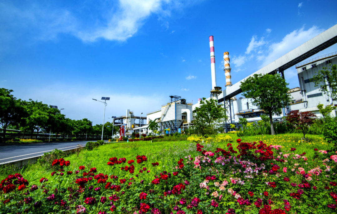 敬业集团:践行绿色发展,打造生态底色