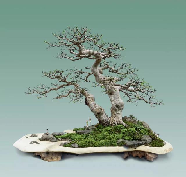 匠心与诗心—实力派盆景作家张志刚作品赏析