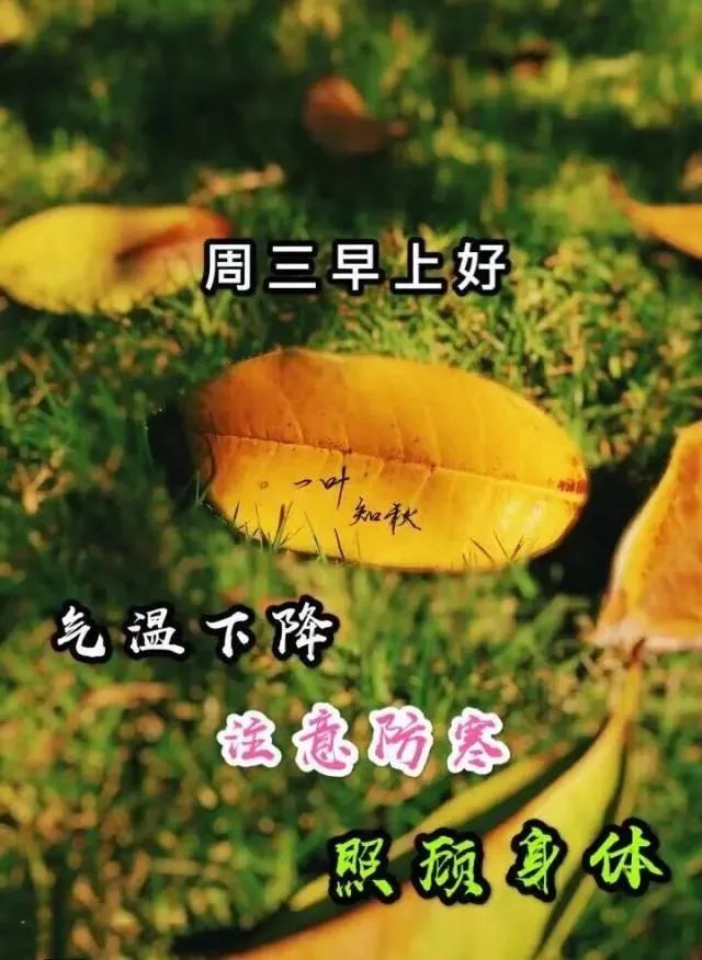 清晨晨曲图片