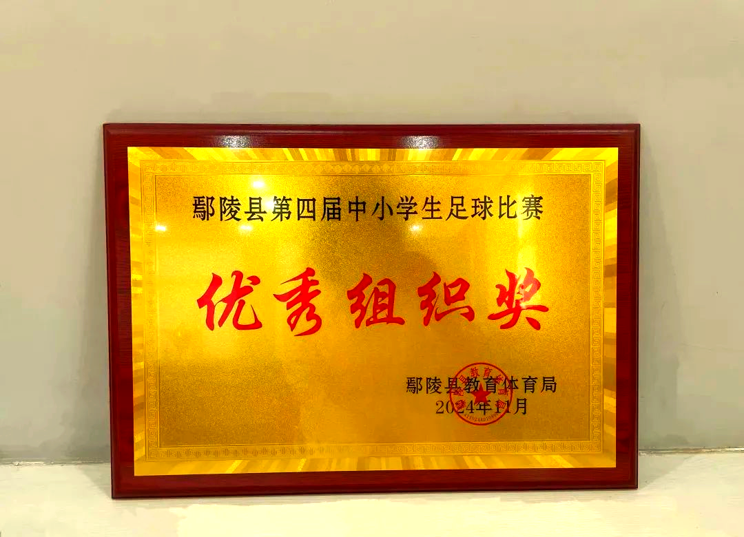 鄢陵县第四届足球赛:我校足球队再创佳绩