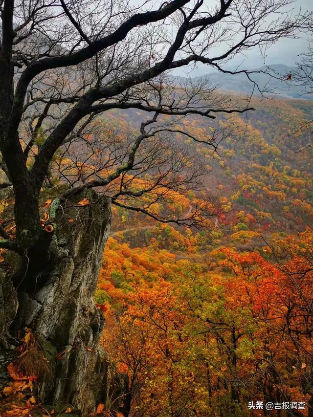 摄影家镜头中的柳河县罗通山绝美秋色和一位"奇人"