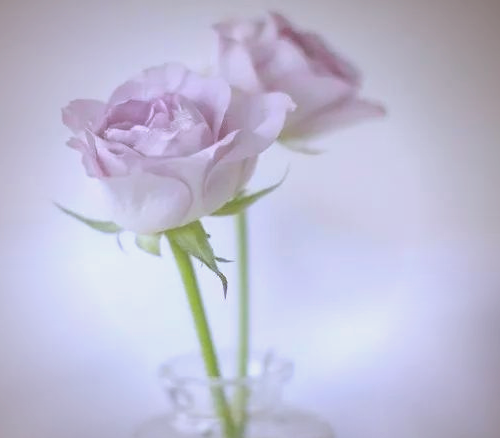 中国点击率极高的多篇经典文章汇总