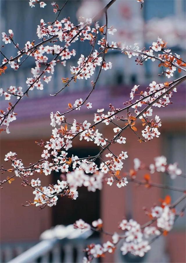新年之舟,驶向时间之河