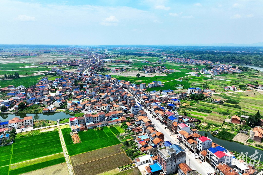 长塘镇:"路南粮仓"的振兴华章