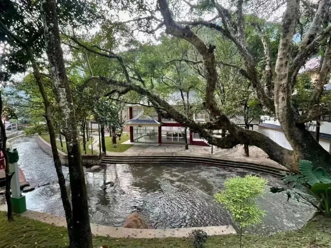 2月25,26日!勐腊县关累镇邀您共度首届乡村旅游文化节暨摸鱼节!