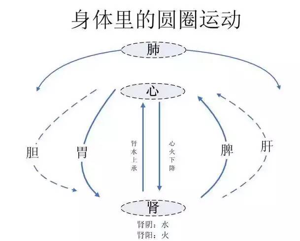 中医五行圆运动理论宗旨在于强健人体免疫系统