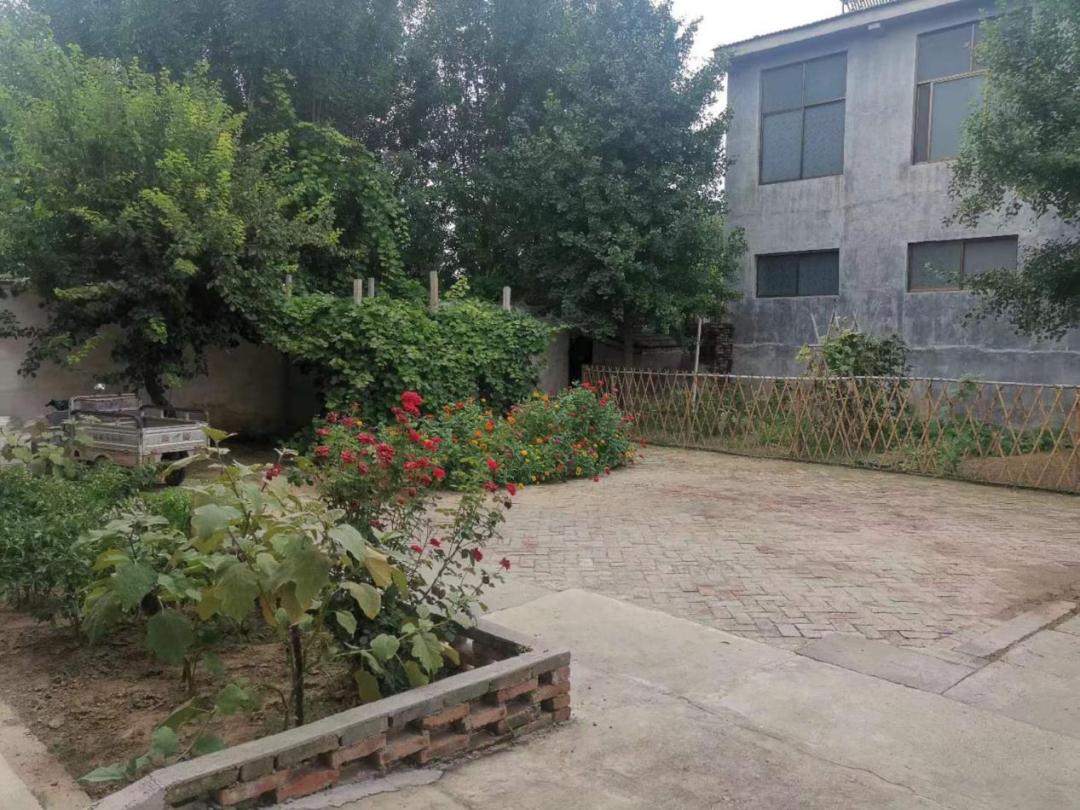 "云赏美丽庭院 共建幸福家园"展示⑤