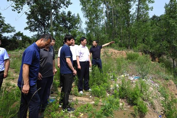 济源示范区管委会委员,副市长李拴根检查指导地质灾害防治工作