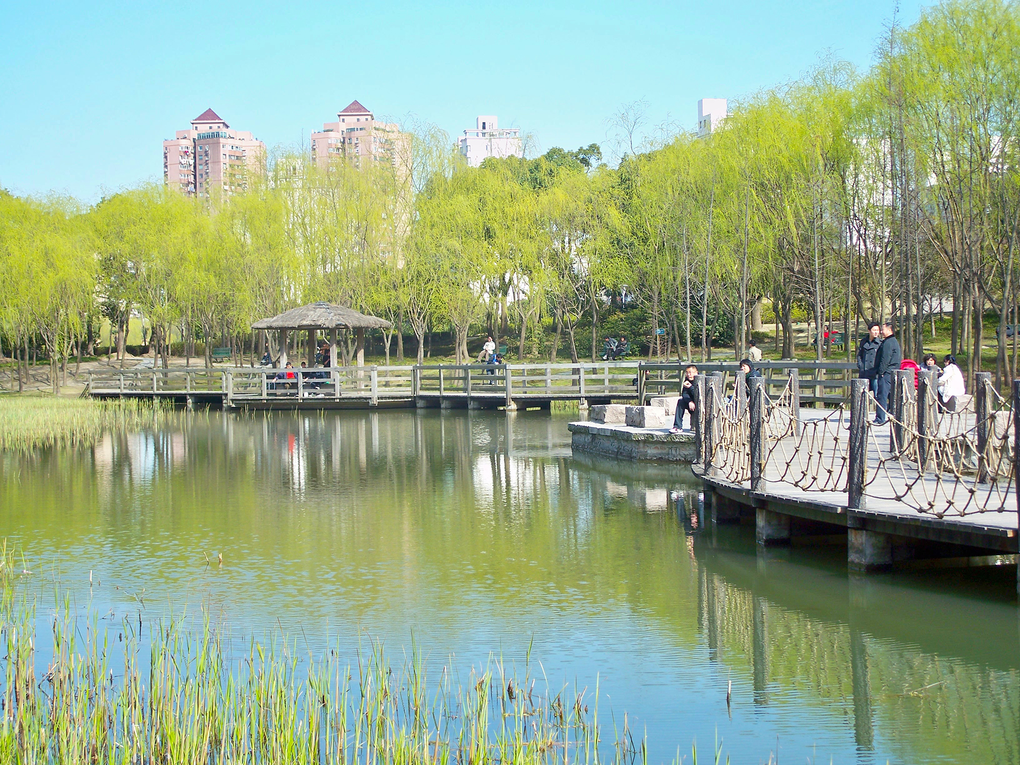 上海大宁灵石公园介绍图片