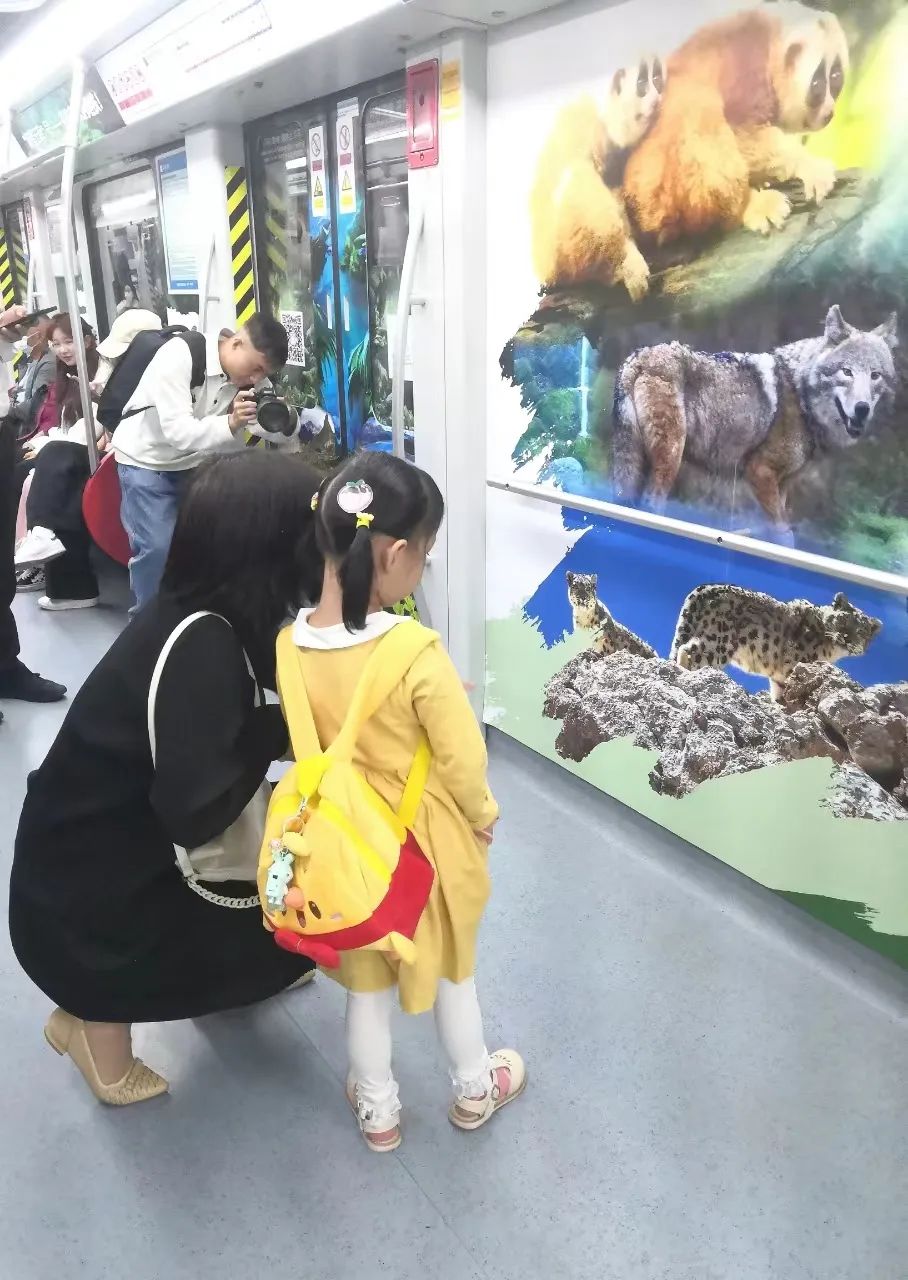 ���С��������ϡ��ŵ����г��������� ���ƶ����չݡ����������������Ƭ