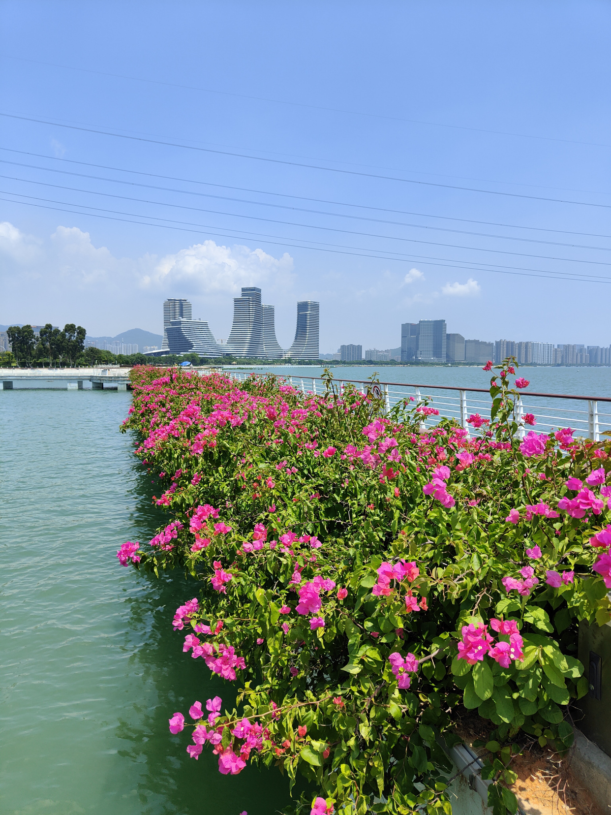 海沧湾是一座沿海湾线打造出的带状公园,厦门旅游的绝佳地方