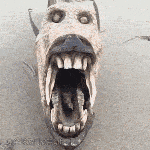 搞笑gif:报告班长,发现一群大长腿,第5期