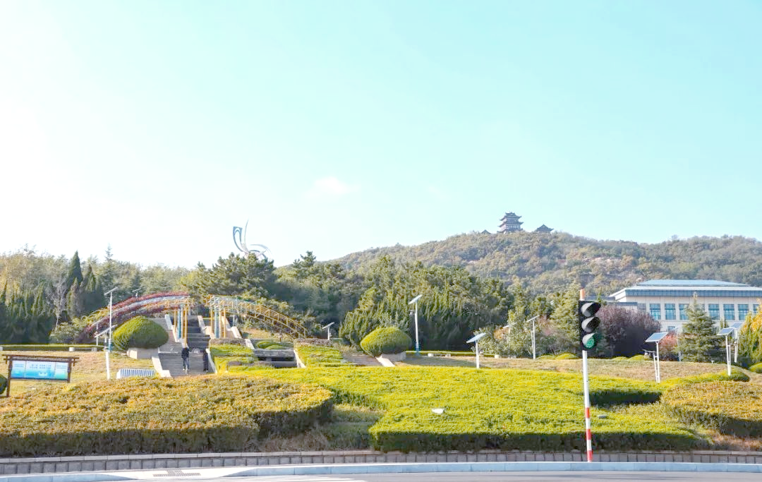 夜游凤凰山,探访莱山夜景的绚丽多彩