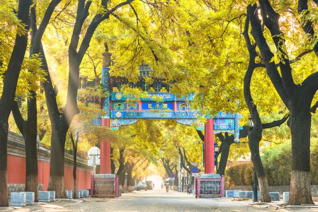 中国禾火口十图鉴