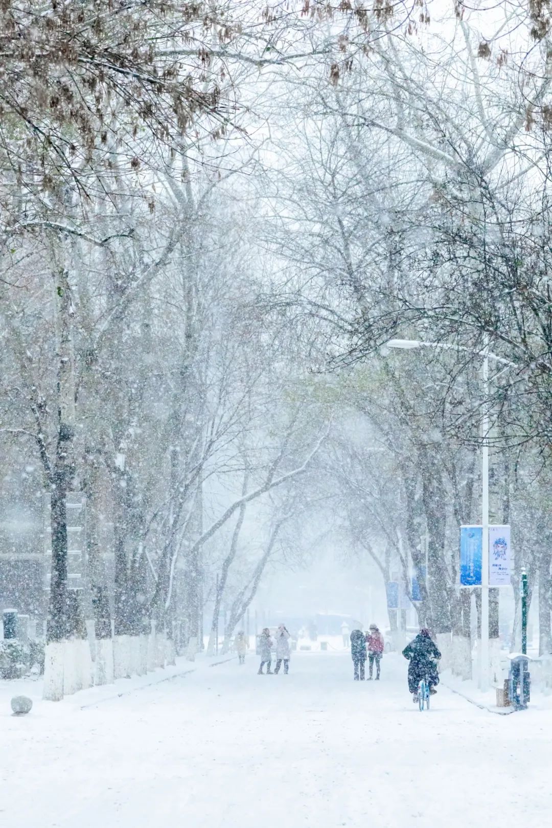 天津雪景美图图片