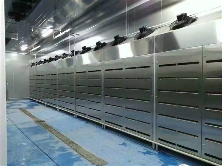 肉类解冻机低温高湿冻肉缓化设备