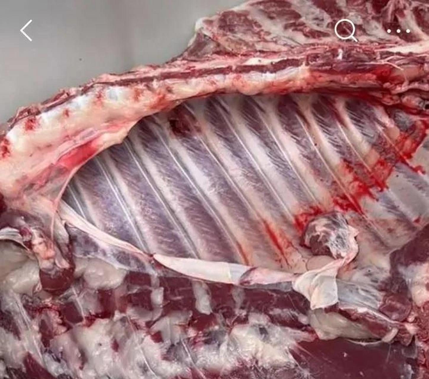 快乐王胖与湘西冬宝同样是面对大山,两个却做出了不同的选择,一个被