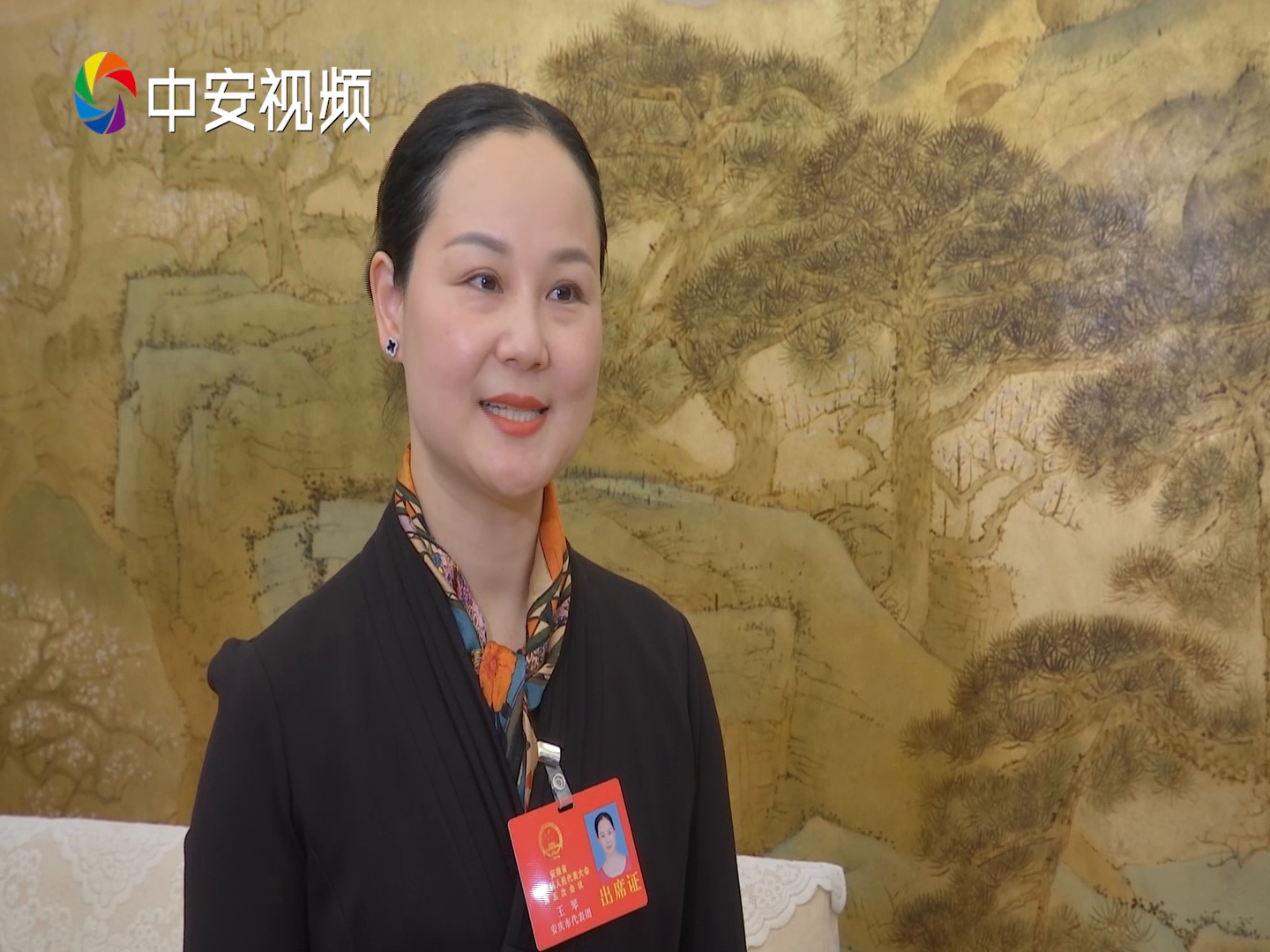 两会好声音省人大代表王琴黄梅艺术传承要广开才源