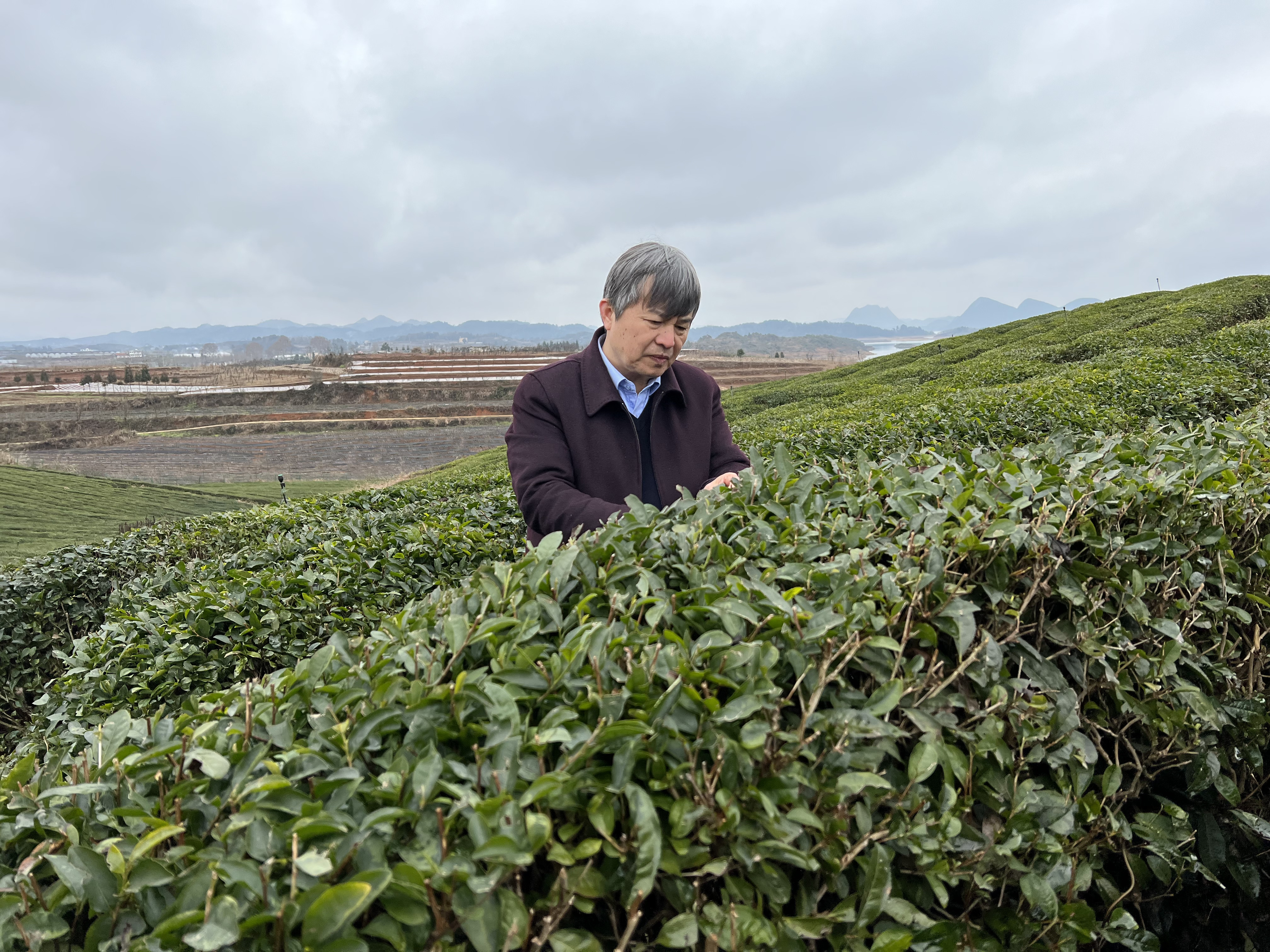 代表委员履职|全国人大代表宋宝安:把论文写在乡村振兴大地上