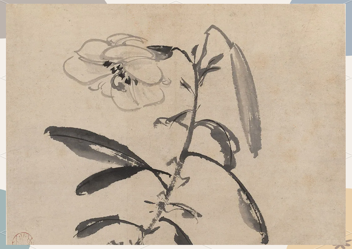 陈淳《花卉册》多幅佳作:明代花鸟画的艺术瑰宝