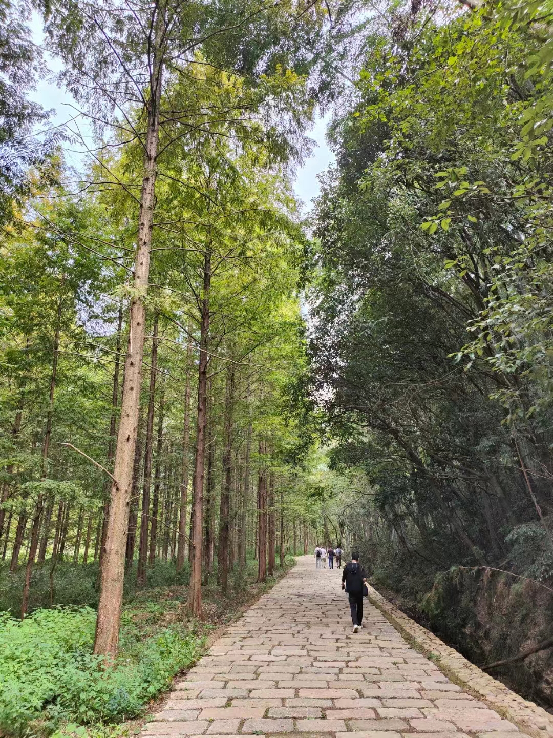 建筑之歌的建设框架