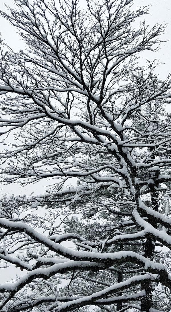 尧山雪景图片