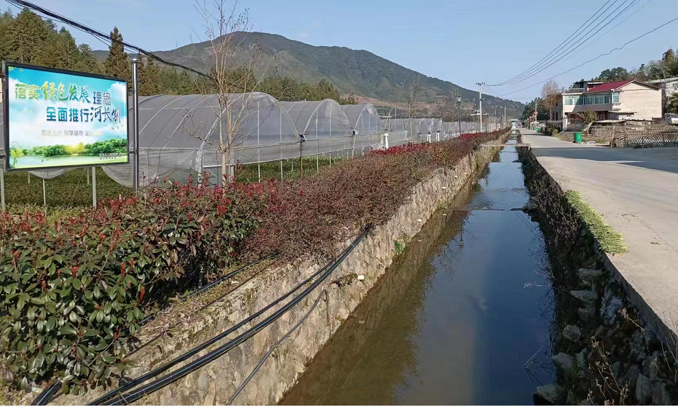 三明尤溪县汤川乡汤三村入选2022年度福建省森林村庄