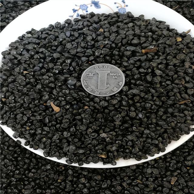 大花萱草种子何时播种