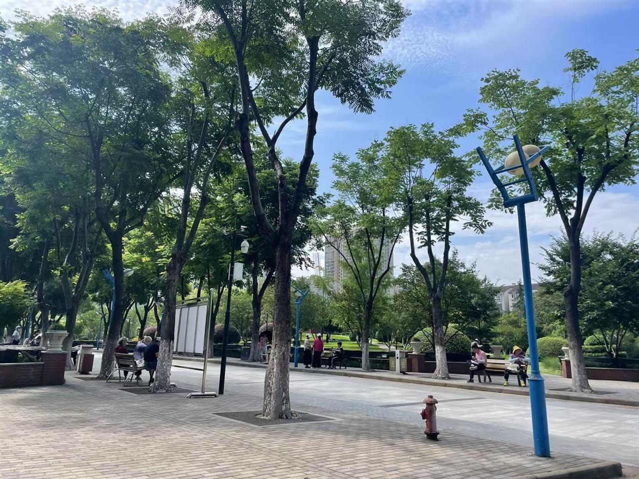 1、14日，武汉蓝澄澈透亮.jpg
