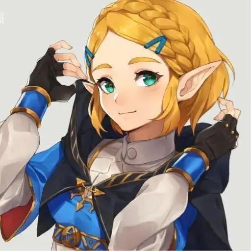 玩游戏的塞尔达