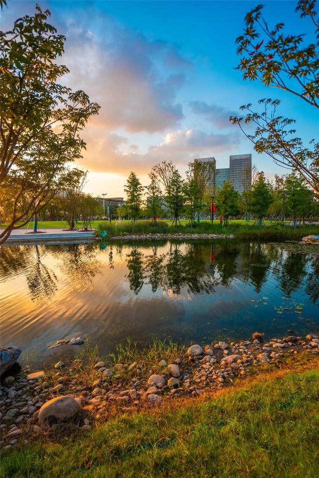 大量美图!这些公园,真好看