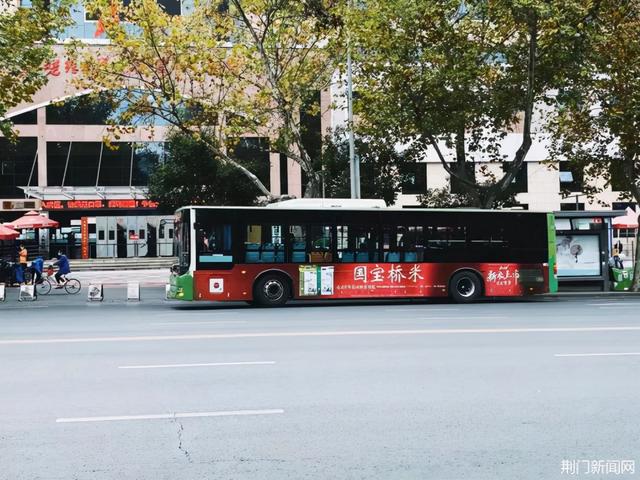 荆门最美公交线路来了,快上车,带你尽揽荆门初冬之美(附超详细攻略)