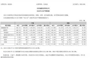 销冠诞生 比亚迪2024年新能源销量427.21万辆：同比猛涨41.26%