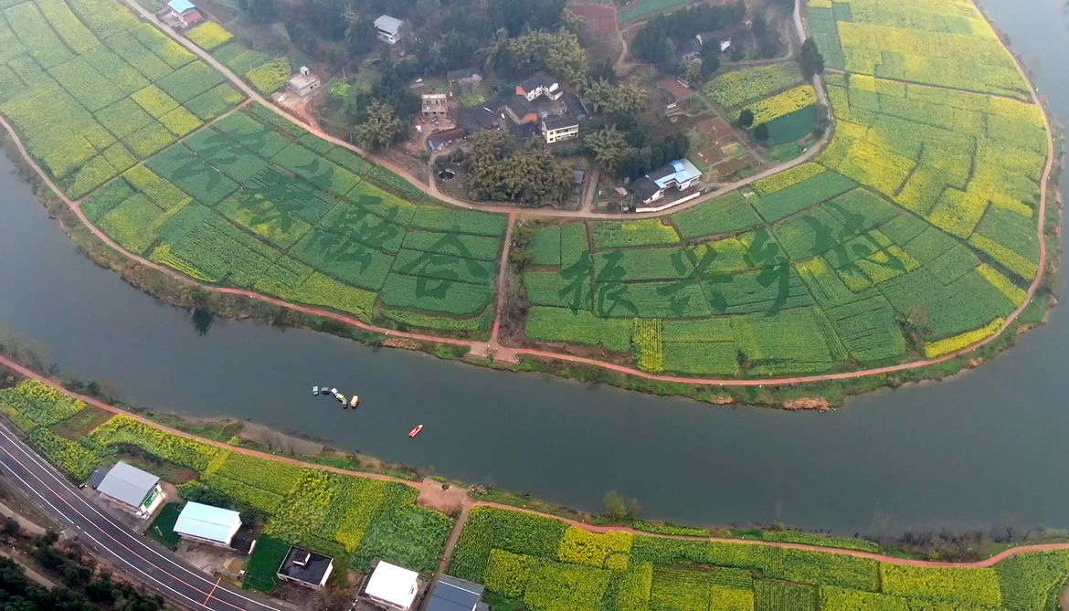 绵阳三台县第六届三元油菜花节启幕