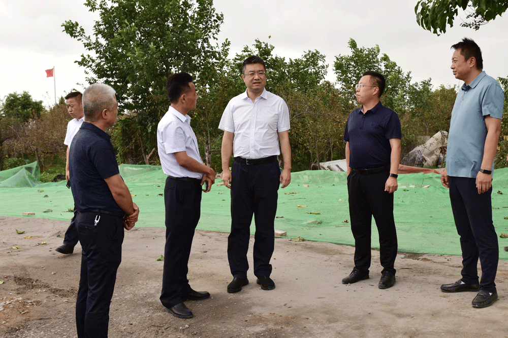 王益区委书记王蒙督导检查生态环保督察问题整改工作