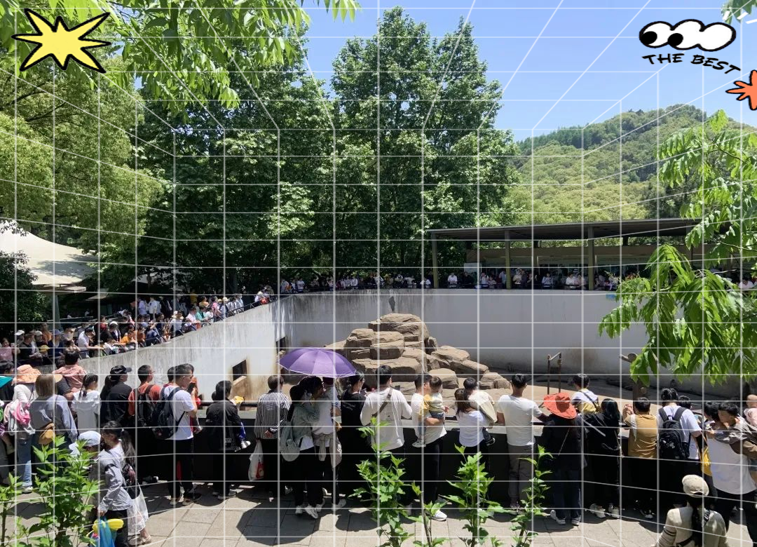 温州动物园搬迁工程终于要启动,新址在哪