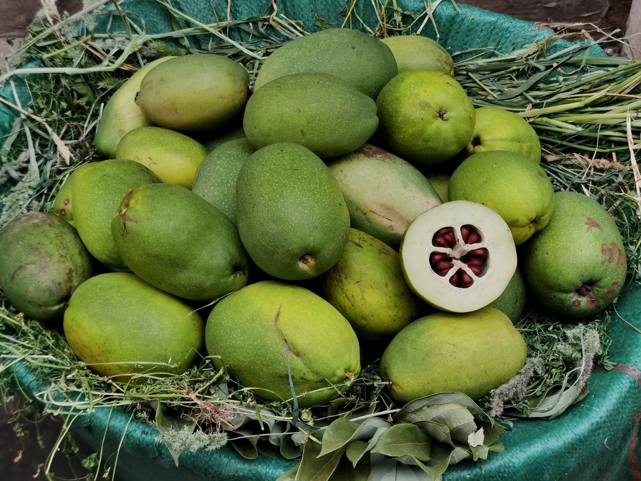 君迁子,余甘子,胡颓子,黑藨子……云南果子的滋味