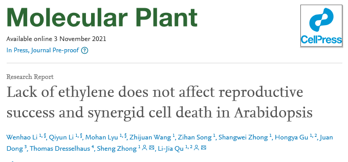 北大瞿礼嘉组表明乙烯并不是拟南芥有性生殖成功以及助细胞降解的必要